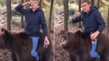 Drunk Russian Man Sits on Bear While Drinking Liquor, Leaves Wild Animal Furious (Watch Video)