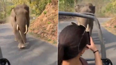 Elephant Chases Jungle Safari Vehicle After Tourists Scream in Panic on Seeing the Jumbo, IFS Officer Shares Video With Important Suggestion