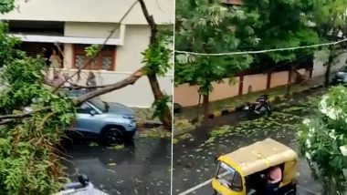 Bengaluru Weather Today: Trees Uprooted in Heavy Rains, Watch Video and Pics of Damage After Rains Lash The City in Karnataka