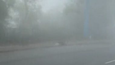 Delhi Weather Update Today: National Capital Witnesses Rare Fog in Hottest Month of Year, Third Coldest May Morning Since 1901 (Watch Video)