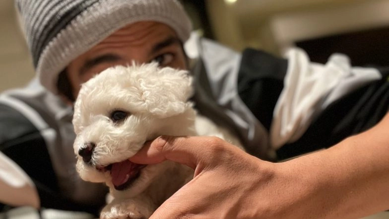 Kartik Aaryan Shares Selfie with His Cute Pet Dog Katori and Her 'Chammach' (View Post)