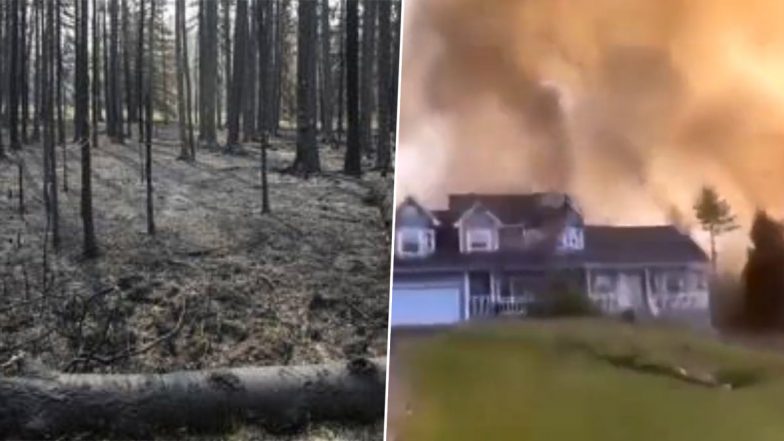 Nova Scotia Wildfires Videos: Terrifying Wildfire Continues to Rage in Halifax, Forces Thousands To Abandon Their Homes