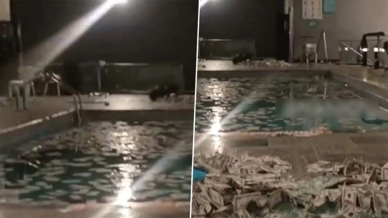 Punjab Shooting: Shots Fired During Pool Party in Zirakpur, Two Injured in Firing (Watch Video)