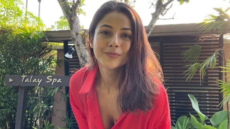 Shehnaaz Gill Looks Stunningly Hot in Red Shirt, Actress Shares Pics on Insta!