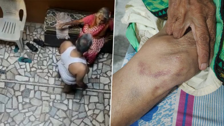 Noida Shocker: Man Mercilessly Thrashes Elderly Mother Over Property Dispute, Disturbing Video of Assault Surfaces Online