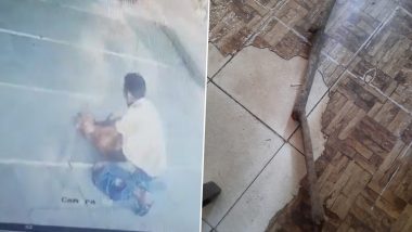 Animal Cruelty in Mumbai: Stray Dog Strangulated to Death in Mira Road, Barbaric Video Surfaces