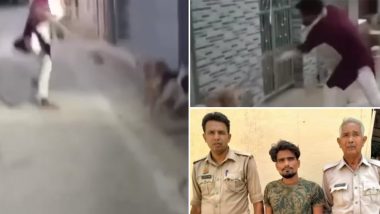 Animal Cruelty in Uttar Pradesh: Man Mercilessly Thrashes Stray Dogs With Stick in Shahjahanpur, Arrested After Video Goes Viral