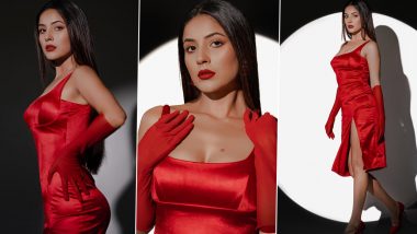 Shehnaaz Gill Looks Hot as Hell in Red Satin Dress With Thigh-High Slit and Matching Red Gloves, View Pics of KKBKKJ Actress