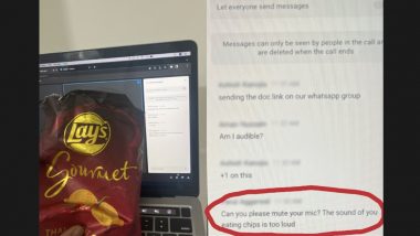 Manager Calls Out Employee For Eating Chips 'Loudly' During Online Meeting, Internet Divided Over Her Action