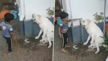 Small Boy Helps Thirsty Dog Drink Water From Tap, Heartwarming Video Goes Viral