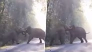 Elephant Fight Video: Two Giant Elephants Clash With Each Other, IFS Officer Says 'When Titans Clash, Forest Shivers' (Watch Video)