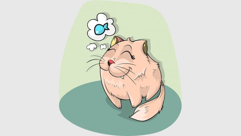 Do Animals Dream? Scientists Discover Similarity in Brain Activity of Some Animals and Humans While Asleep
