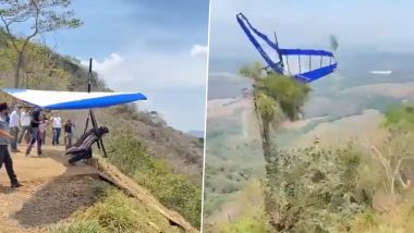 Paraglider Crashes Into Tree, Collapses on Ground in a Freak Accident (Watch Video)