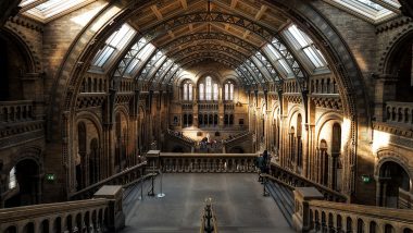 Top 5 Museums in the World: From British Museum in London to Vatican Museum in Italy, List of Museums You Must Visit Once in Your Lifetime