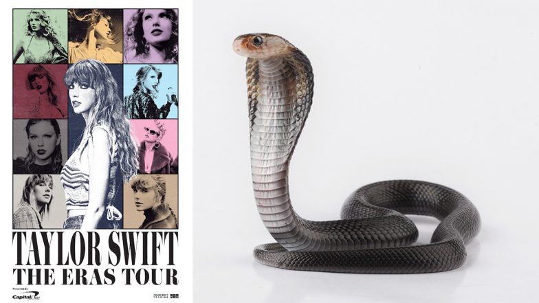 Taylor Swift The Eras Tour: Snake Spotted outside The Singer’s Concert