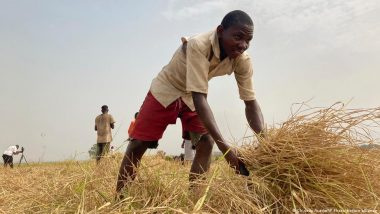 Nigeria: Severe Food Crisis Looms