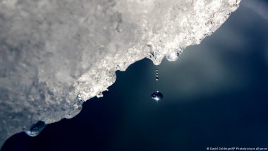 Why is the Ice Melting So Fast?