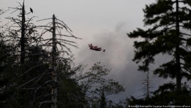 Canada: Thousands Evacuated Due to Halifax Wildfires