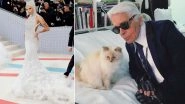 Met Gala 2023: Doja Cat Dresses Up as Karl Lagerfeld's Cat Choupette and Honours the Late Designer on the Red Carpet (View Pics)