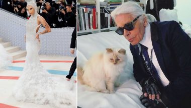Doja Cat dresses up as Karl Lagerfeld's cat for Met Gala debut