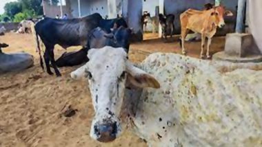 Lumpy Skin Disease Found in Cows, Meghalaya Government Declares Several Villages in Ri-Bhoi and South West Khasi Hills District As Infected