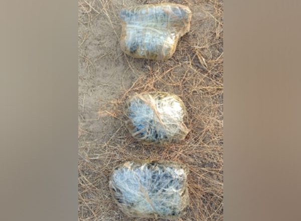 India News | Two Pak Intruders Killed, Three Packets of Drugs Recovered Near Indo-Pak Border: BSF