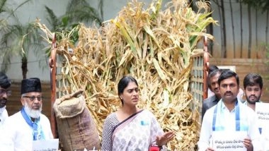 India News | YS Sharmila Sends Truck Full of Damaged Crops to Telangana CM KCR, Demands Rs 30,000 Per Acre as Compensation