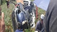 World News | Five Injured in Nepal Helicopter Crash