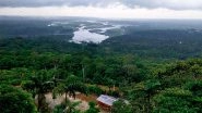 Science News | Study: Amazonian 'black Earth' May Give Clues to Global Forest Regeneration