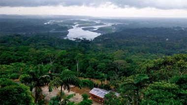 Science News | Study: Amazonian 'black Earth' May Give Clues to Global Forest Regeneration
