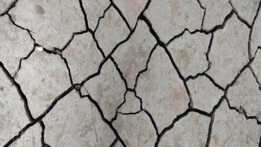 World News | Israel Continues Preparedness for Natural Disasters