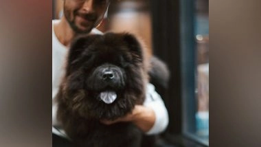 Entertainment News | Meet New Member of Aayush Sharma's Family