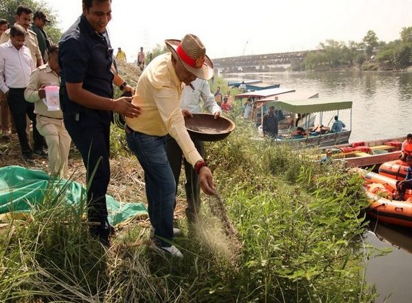 India News | Delhi LG Plants 300 Cherry Blossom and Chinar Saplings on 3 Yamuna Islands