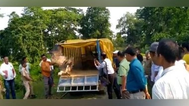 India News | Assam: Vultures Affected Due to Poisoning in Sivasagar Released After Treatment