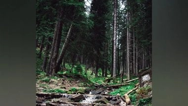 India News | Jammu and Kashmir Govt Planted over 15 Million Trees Last Year: LG Manoj Sinha