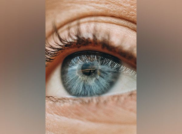 Science News | Study Reveals Human Eyes Play 'tricks' on Minds