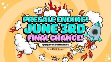 Business News | Diversify Your Crypto Investment with Internet Computer, Floki Inu & Big Eyes Coin