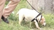 India News | Punjab Police Canine Squad's Labrador Dog Beats Cancer, Joins Back on Duty