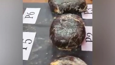 India News | Tamil Nadu: DRI Seizes 18.1 Kg Ambergris Worth over Rs 30 Cr at Tuticorin Coast, 4 Held