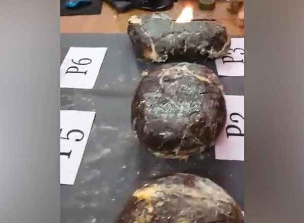 India News | Tamil Nadu: DRI Seizes 18.1 Kg Ambergris Worth over Rs 30 Cr at Tuticorin Coast, 4 Held