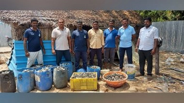 India News | Marine Police Seizes 550 Kg Banned Sea Cucumbers from a House in Rameshwaram