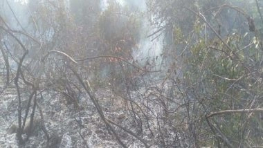 India News | Punjab: Security Forces Douse Fire Around School Premises, Disaster Averted