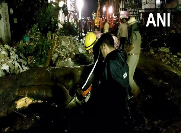 Uttarakhand Tree Falling Deaths: Two Killed, Three Injured After Tree Falls on Them in Separate Incidents in Haridwar