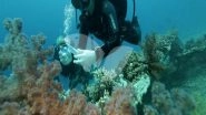 World News | Epidemic Endangers Coral Reefs in Mideast, Eastern Mediterranean