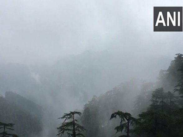 India News | J-K: 4 Members of Nomadic Family Die as Tree Falls on Tent in Kishtwar - Vimarsana News