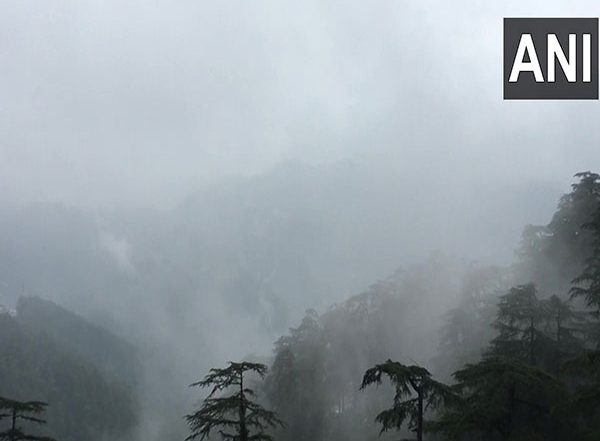India News | J-K: 4 Members of Nomadic Family Die as Tree Falls on Tent in Kishtwar