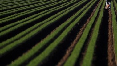 World News | Over Two Dozen US States Ban China from Purchasing Farmland