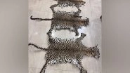 Odisha: STF Seizes Three Leopard Skins in Rayagada, One Held