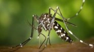World News | Mosquitoes with West Nile Virus Detected in Israel