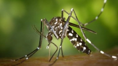 World News | Mosquitoes with West Nile Virus Detected in Israel